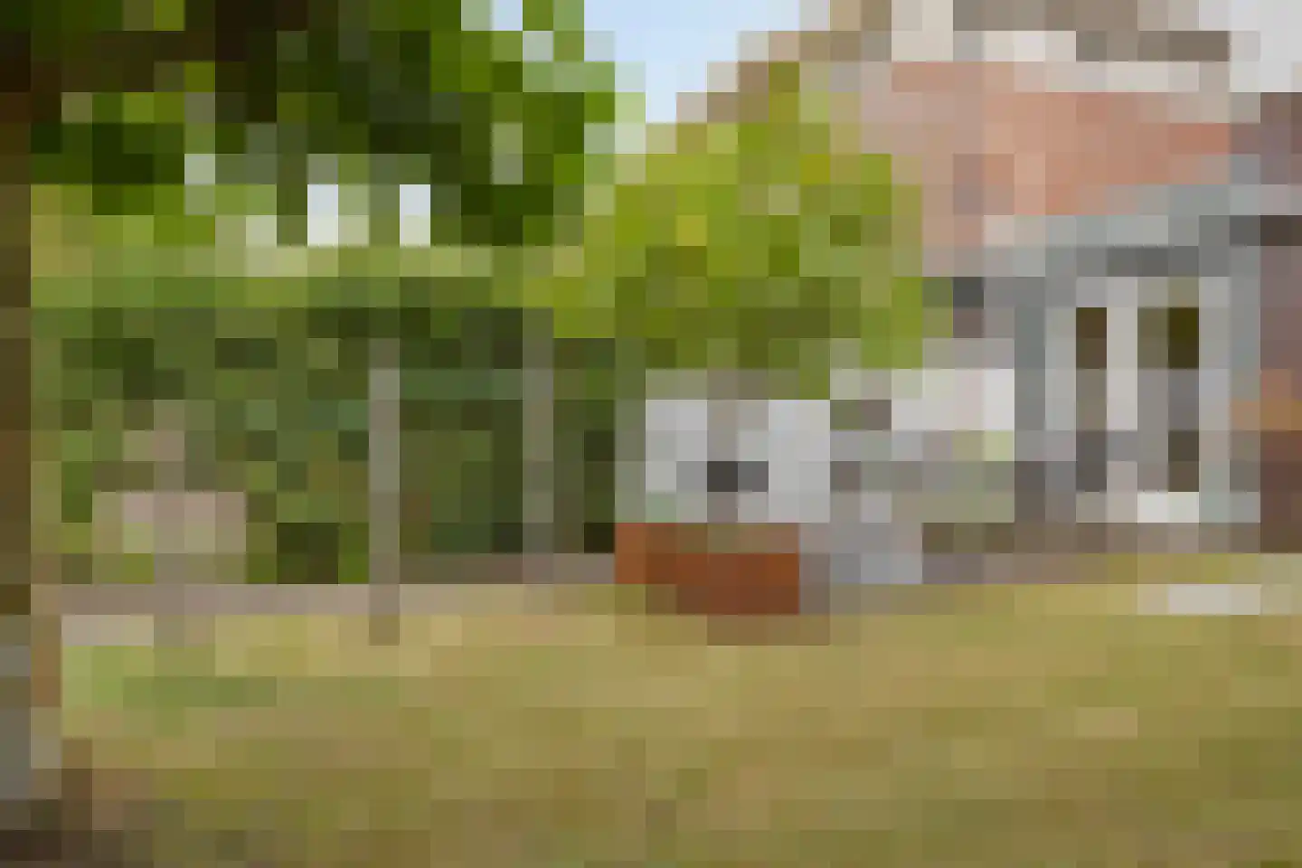 Turennesingel 108 Lent thumbnail 20