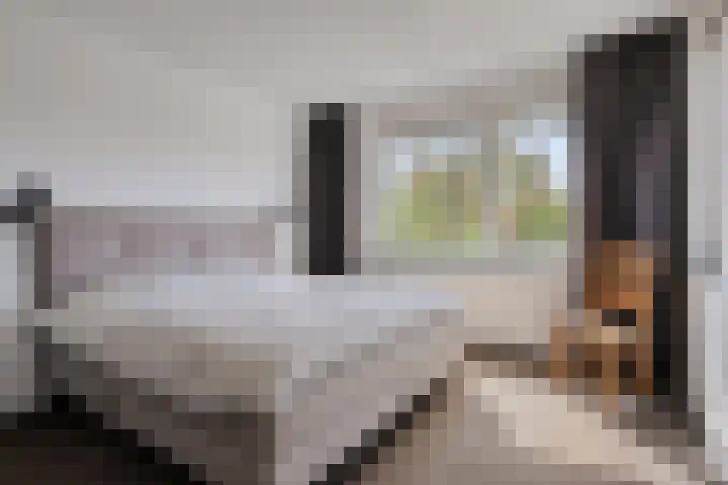 Turennesingel 108 Lent thumbnail 24
