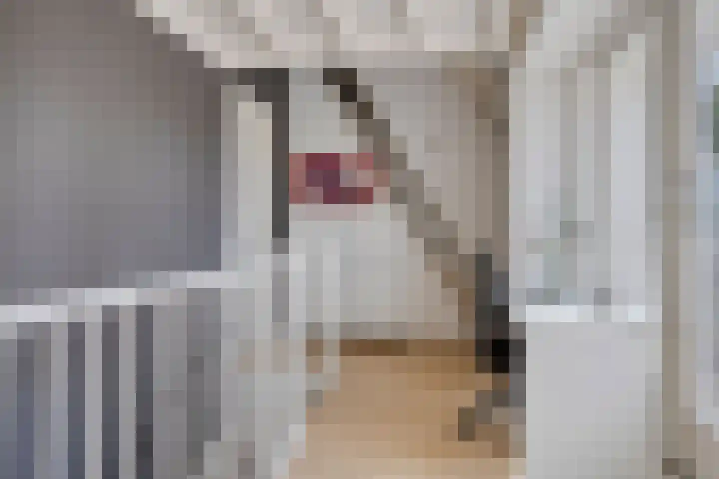 Turennesingel 108 Lent thumbnail 33
