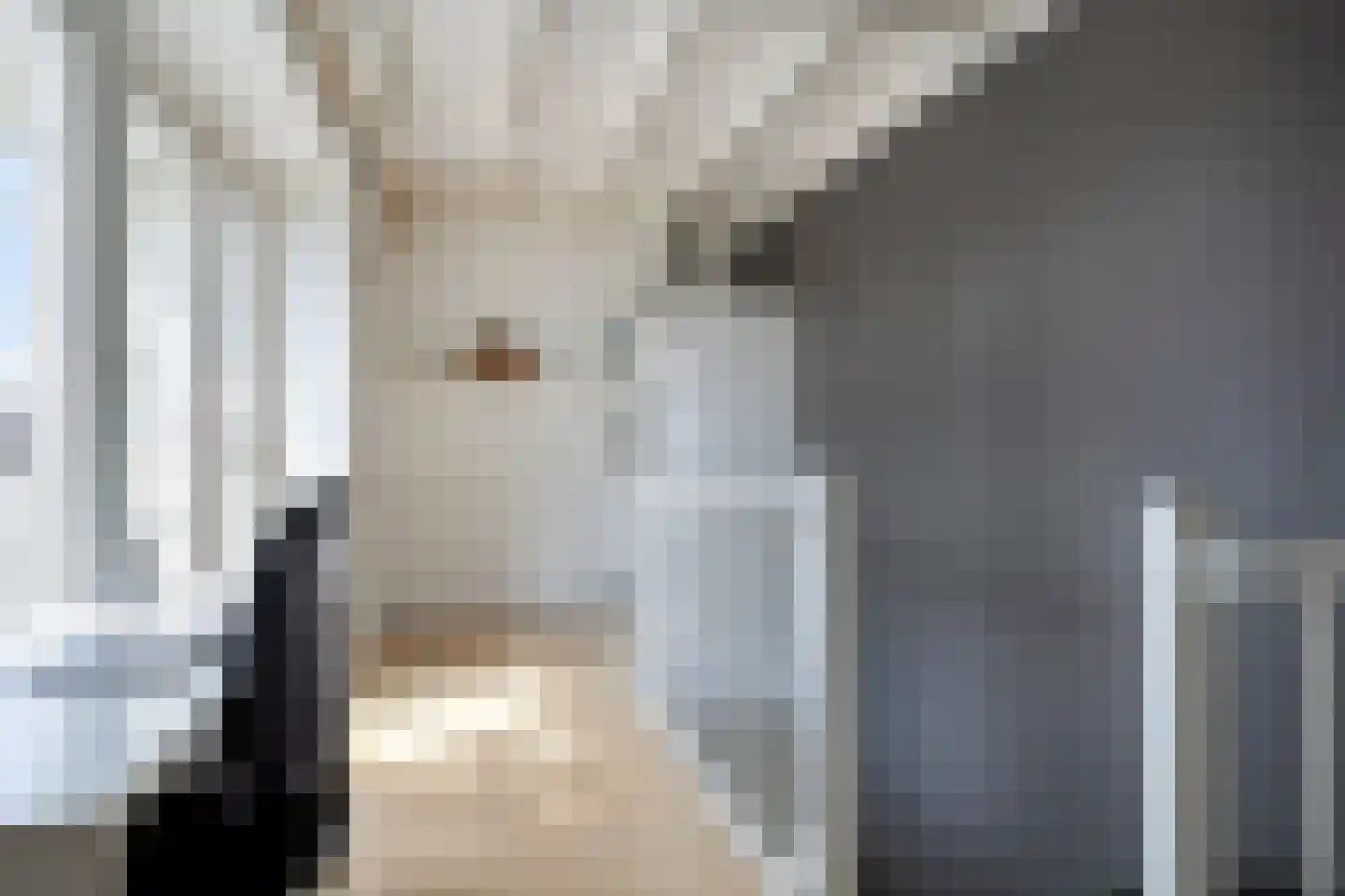Turennesingel 108 Lent thumbnail 34