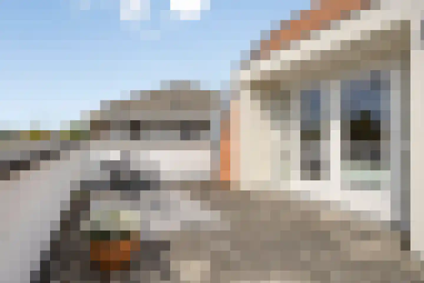 Turennesingel 108 Lent thumbnail 35