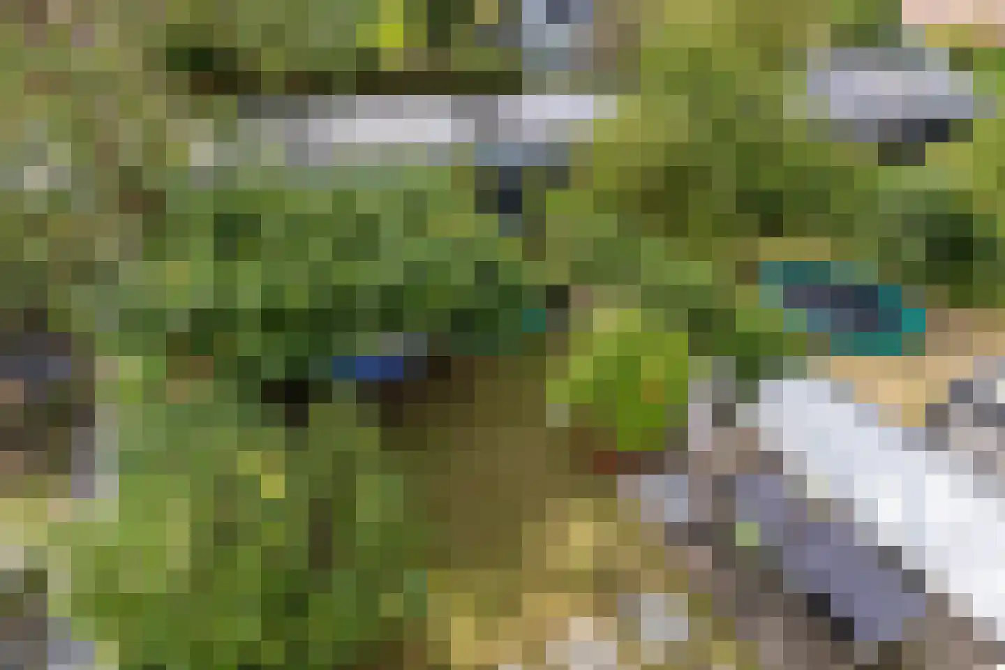 Turennesingel 108 Lent thumbnail 37