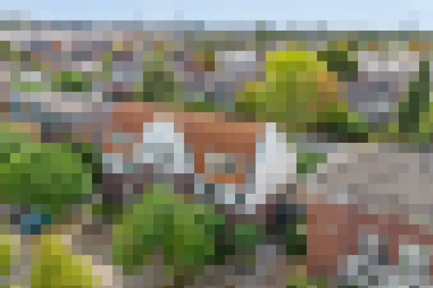 Turennesingel 108 Lent thumbnail 41