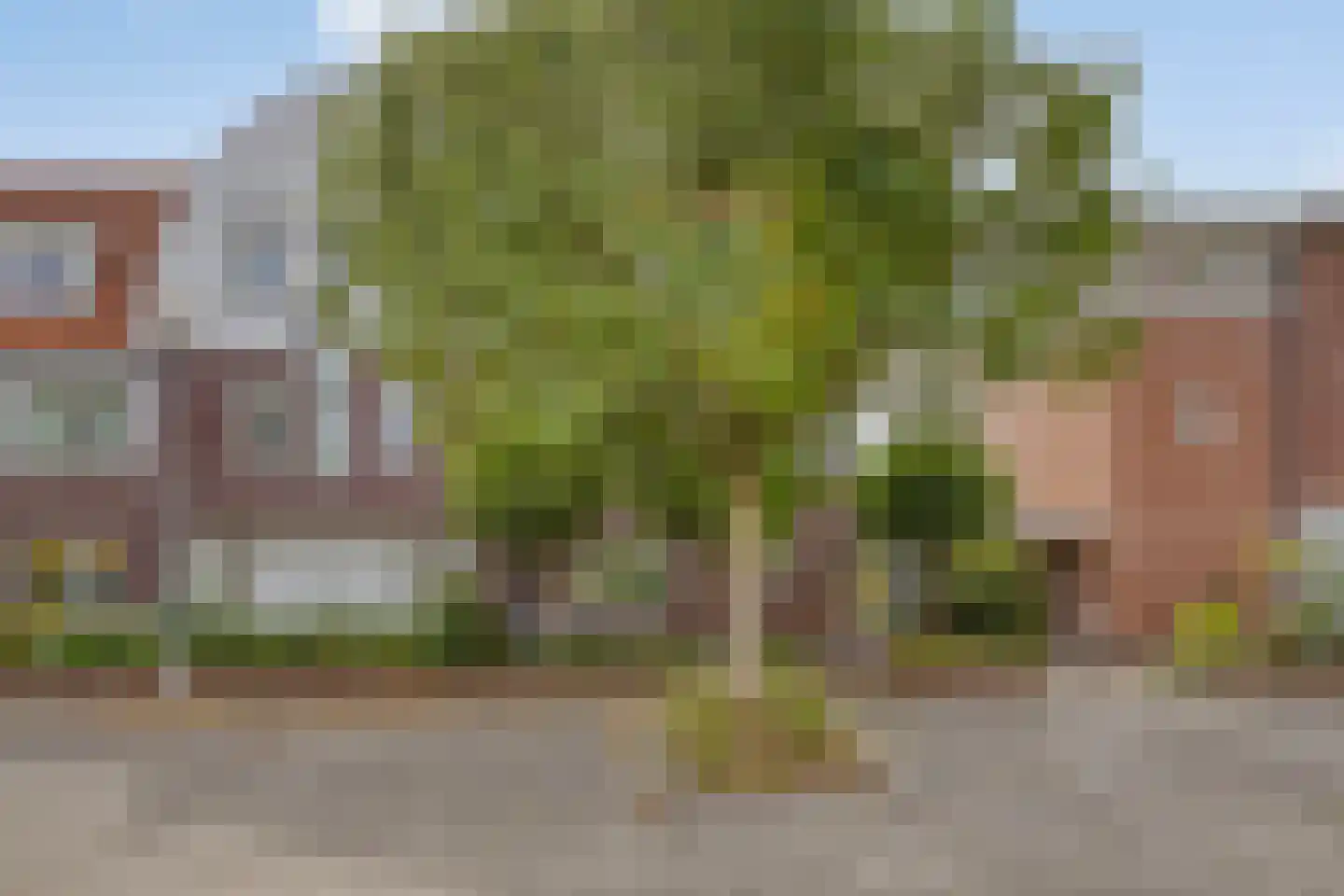 Turennesingel 108 Lent thumbnail 49