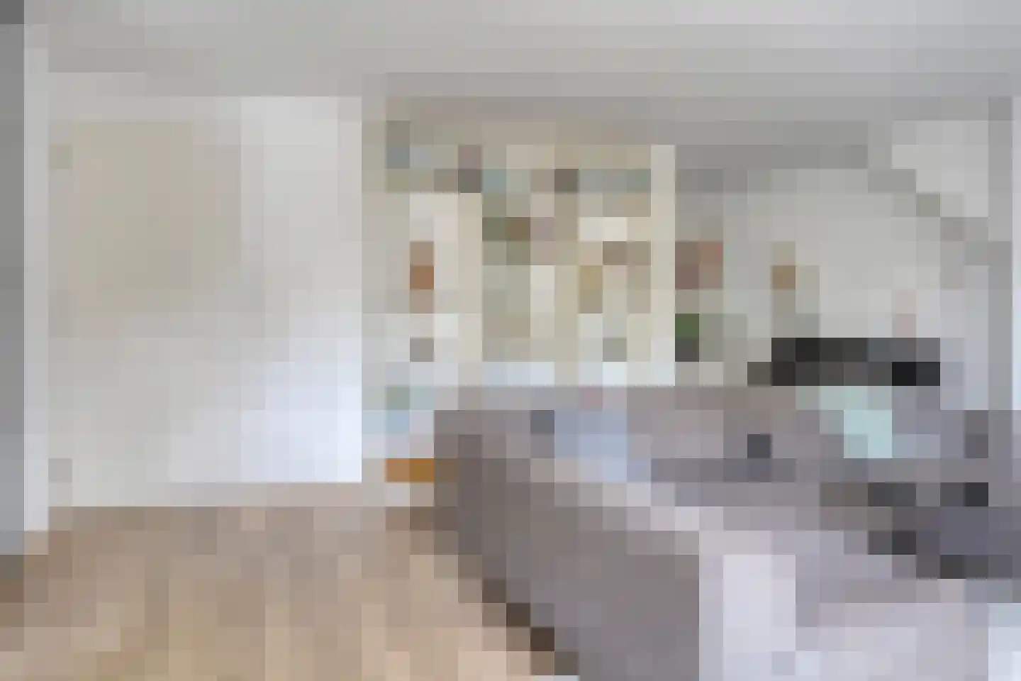 Turennesingel 108 Lent thumbnail 9