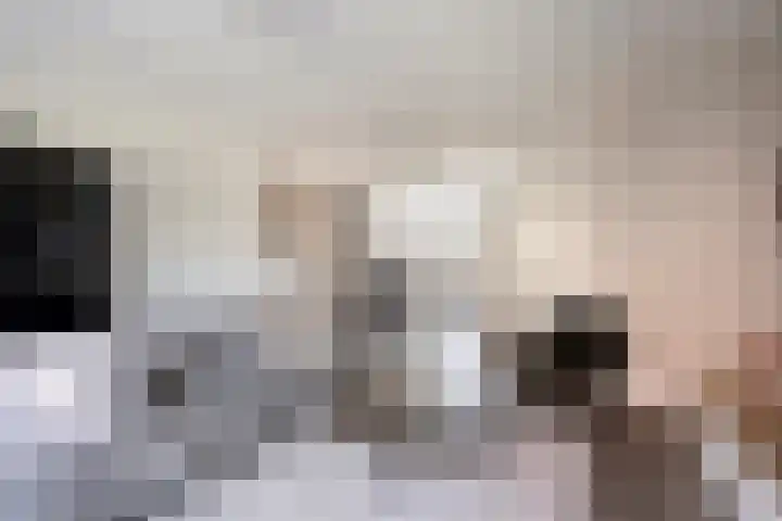 Turennesingel 150 Lent thumbnail 13