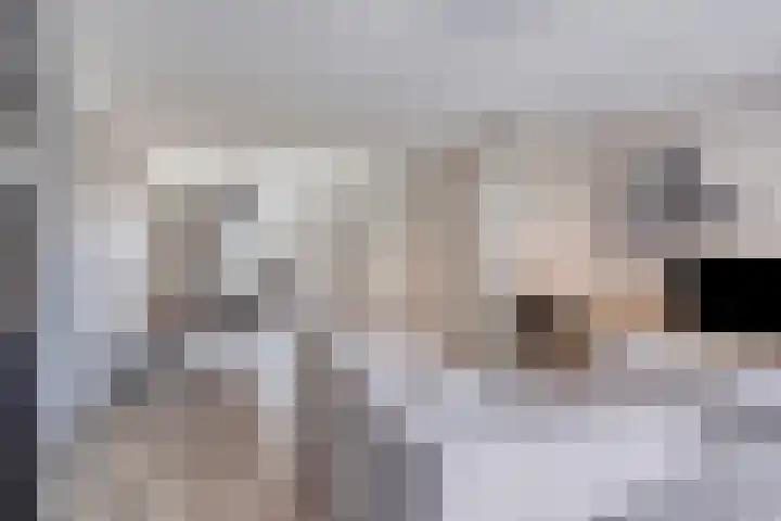 Turennesingel 150 Lent thumbnail 14