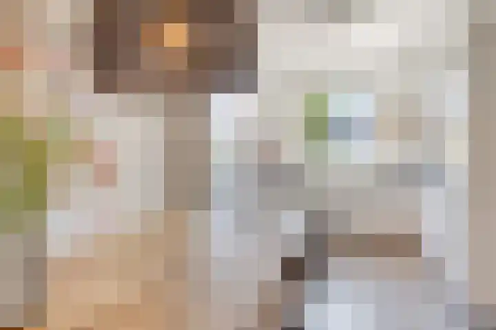 Turennesingel 150 Lent thumbnail 15