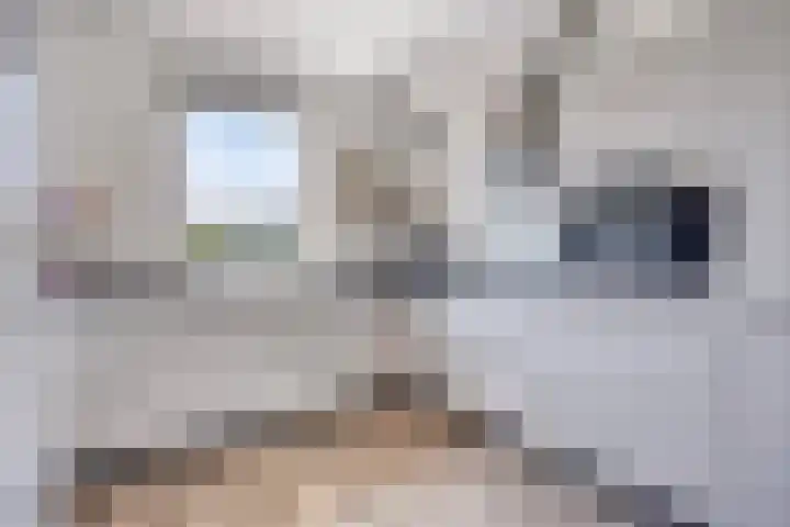 Turennesingel 150 Lent thumbnail 16