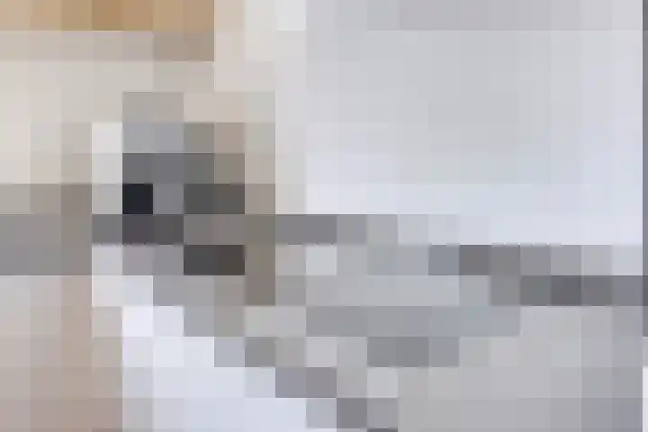 Turennesingel 150 Lent thumbnail 17