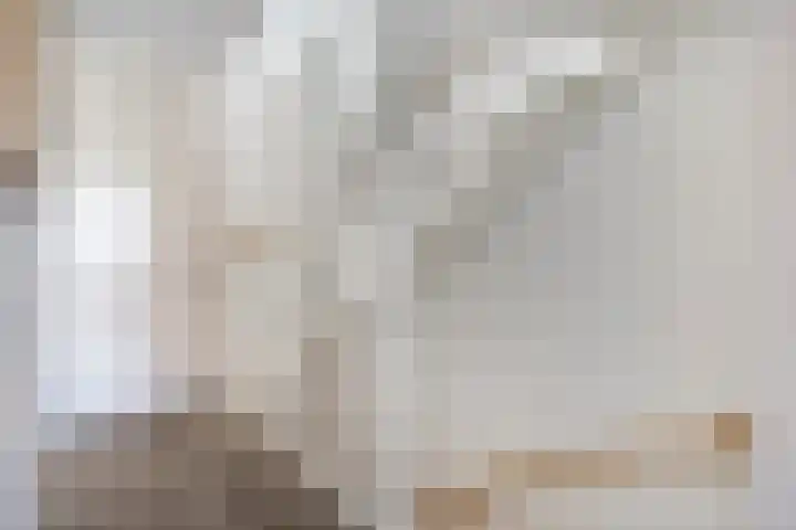 Turennesingel 150 Lent thumbnail 21