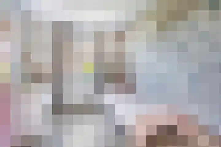 Turennesingel 150 Lent thumbnail 23
