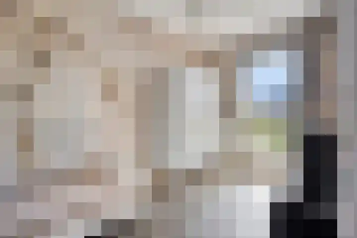 Turennesingel 150 Lent thumbnail 24