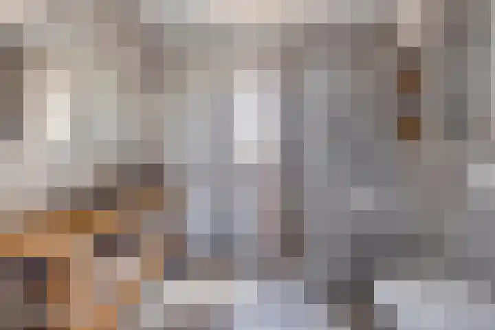 Turennesingel 150 Lent thumbnail 27