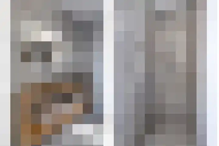 Turennesingel 150 Lent thumbnail 28