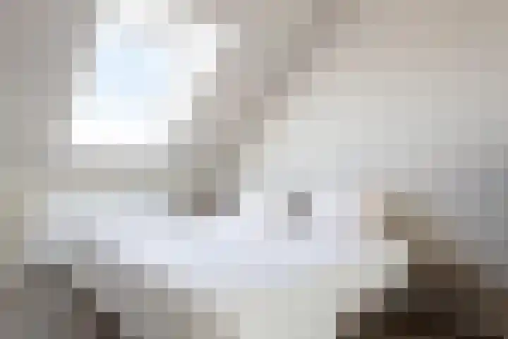 Turennesingel 150 Lent thumbnail 30