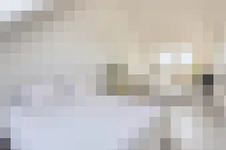 Turennesingel 150 Lent thumbnail 31