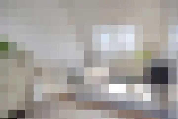 Turennesingel 150 Lent thumbnail 32