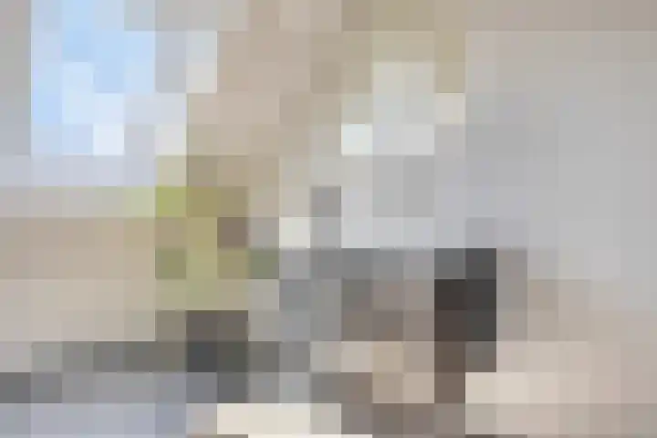 Turennesingel 150 Lent thumbnail 33