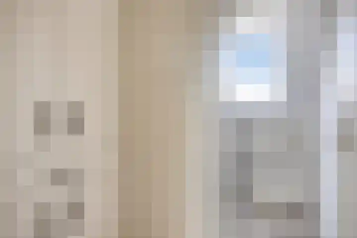 Turennesingel 150 Lent thumbnail 35
