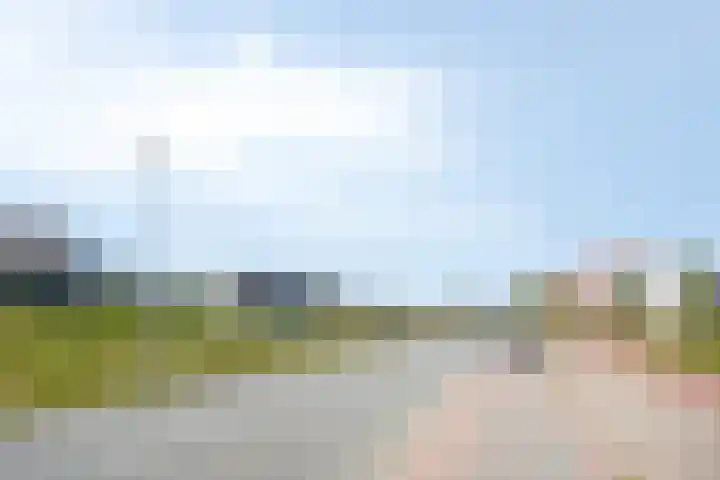 Turennesingel 150 Lent thumbnail 38