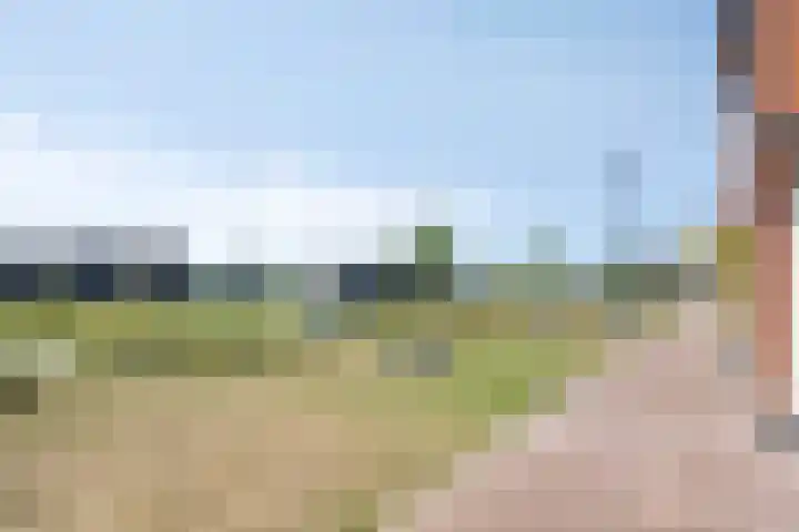 Turennesingel 150 Lent thumbnail 39