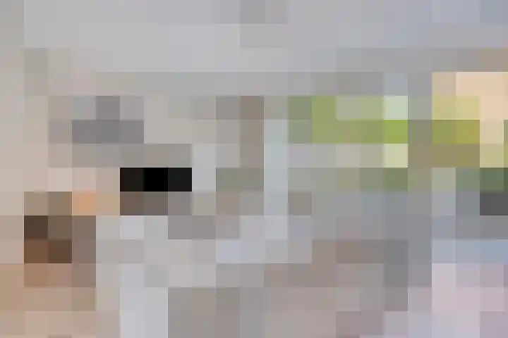 Turennesingel 150 Lent thumbnail 4