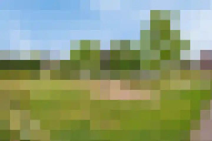 Turennesingel 150 Lent thumbnail 40