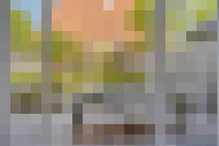 Turennesingel 150 Lent thumbnail 5