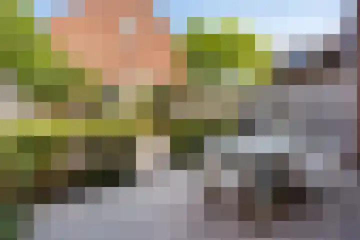 Turennesingel 150 Lent thumbnail 6