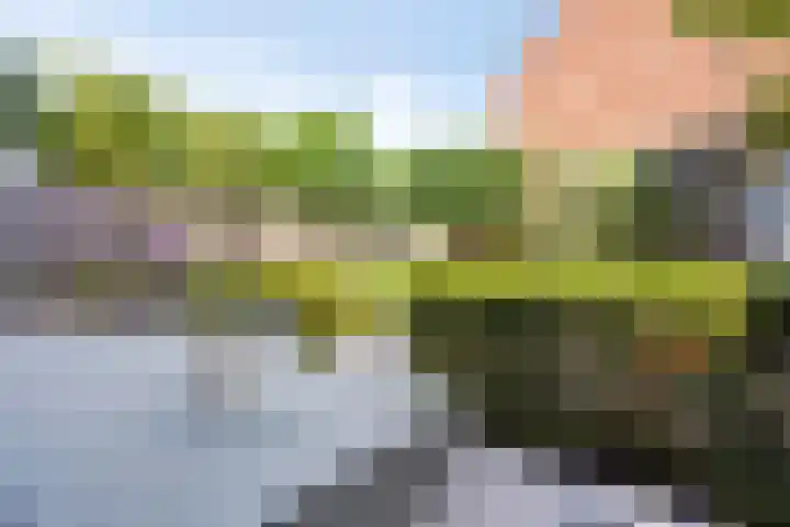 Turennesingel 150 Lent thumbnail 7