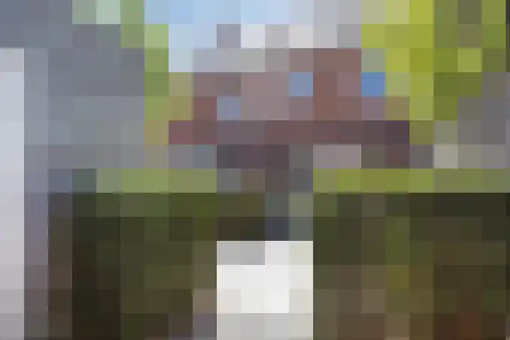 Turennesingel 150 Lent thumbnail 8