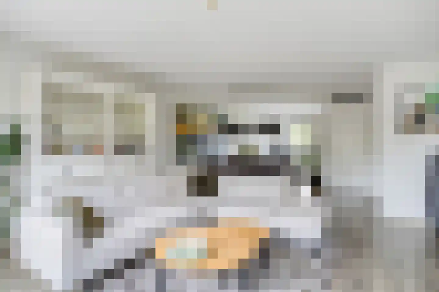 Turennesingel 160 Lent thumbnail 10