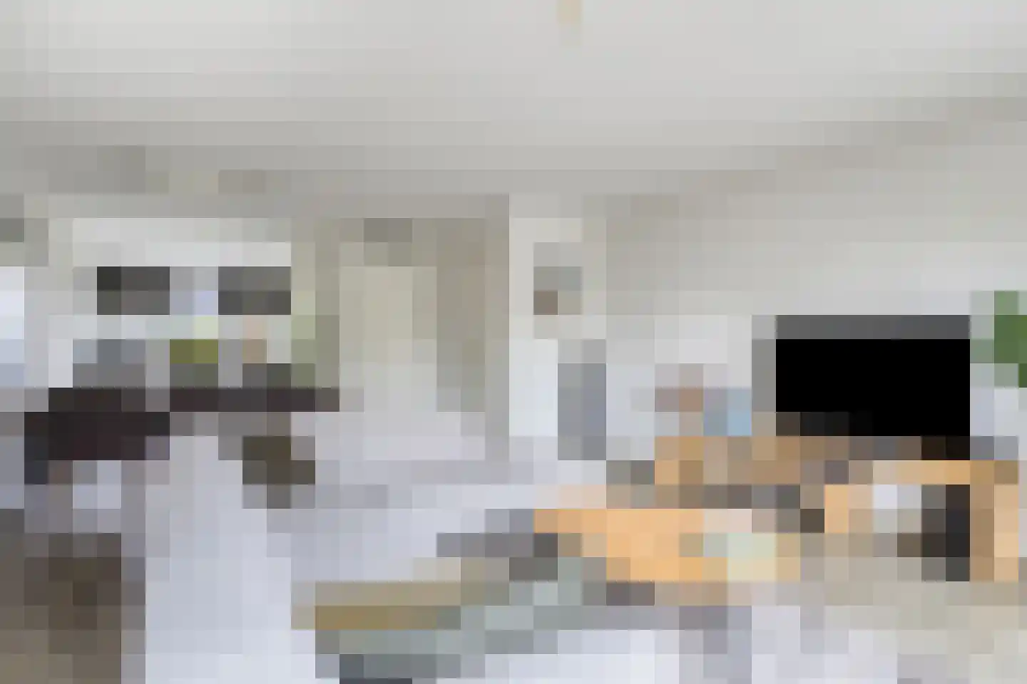 Turennesingel 160 Lent thumbnail 11