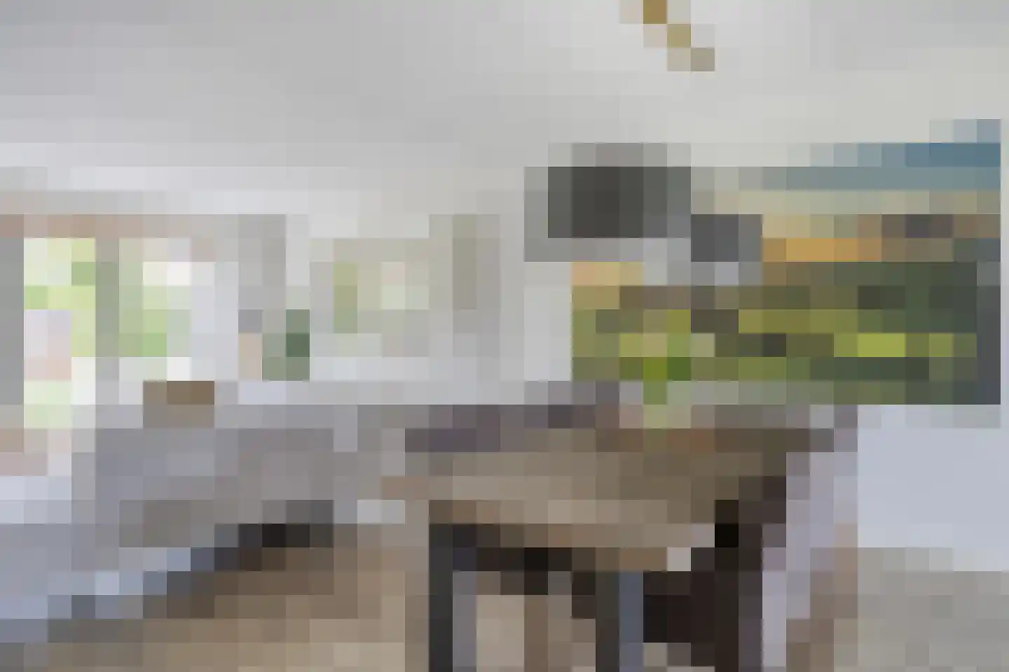 Turennesingel 160 Lent thumbnail 14