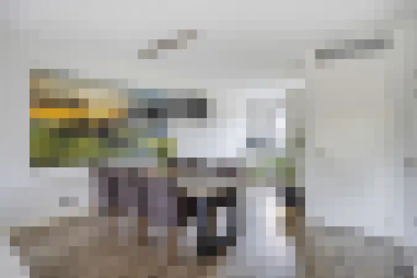 Turennesingel 160 Lent thumbnail 15