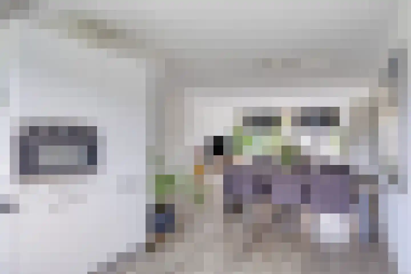 Turennesingel 160 Lent thumbnail 19
