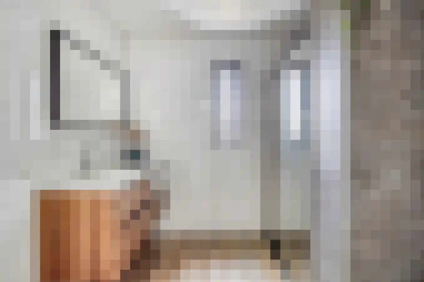 Turennesingel 160 Lent thumbnail 30