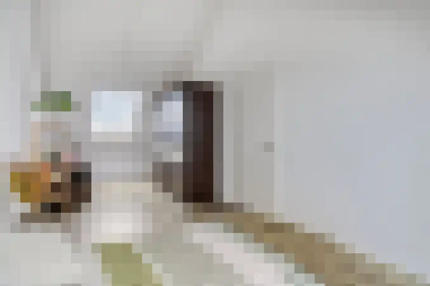Turennesingel 160 Lent thumbnail 37