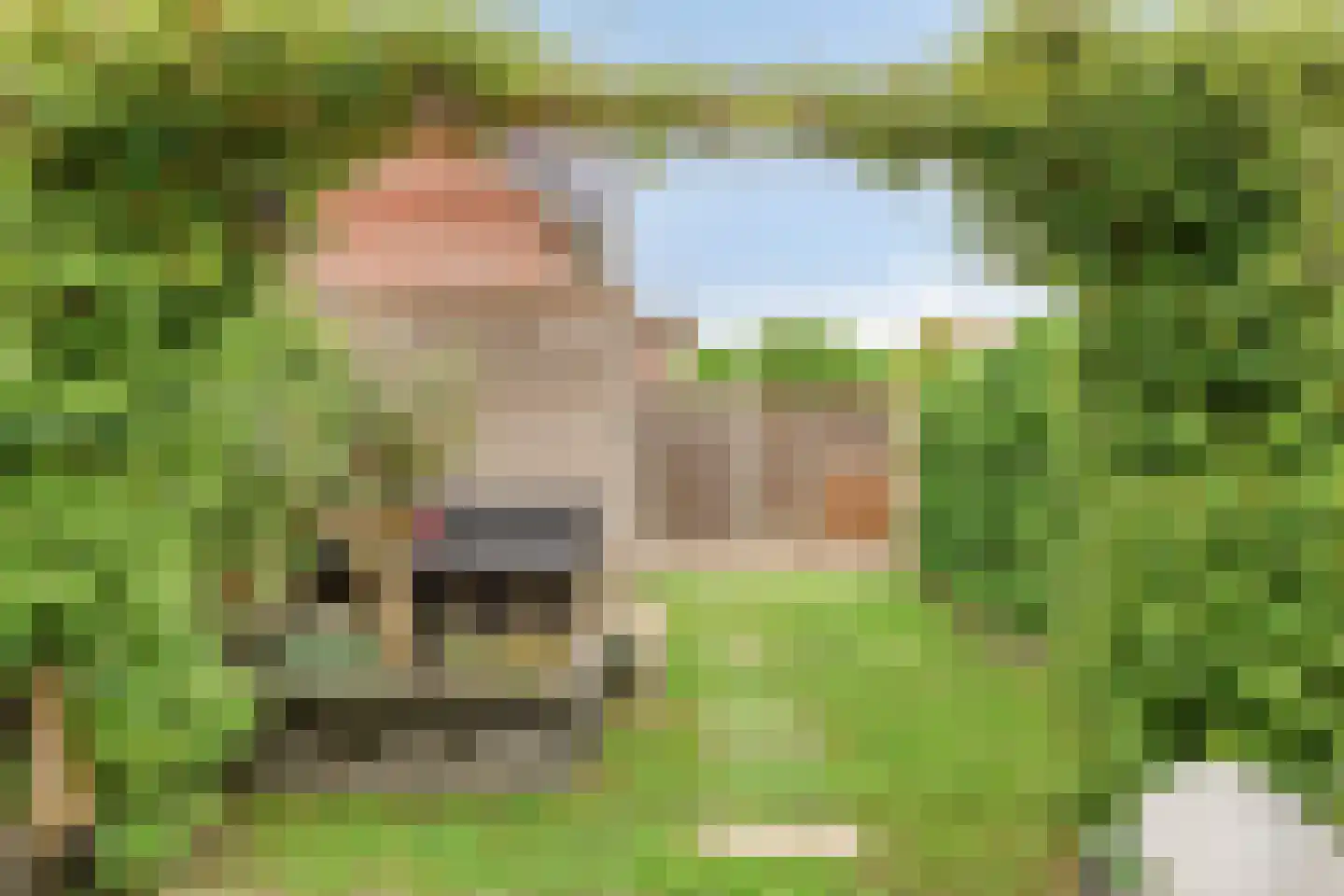 Turennesingel 160 Lent thumbnail 39