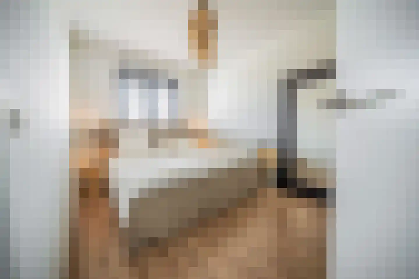 Turennesingel 226 Lent thumbnail 14