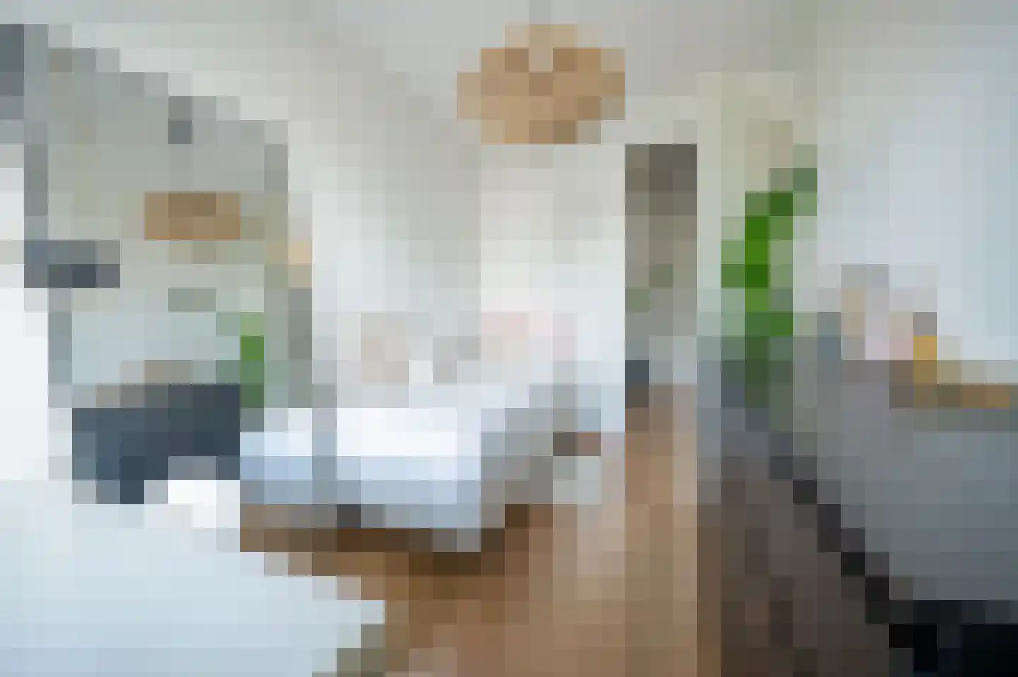 Turennesingel 226 Lent thumbnail 16