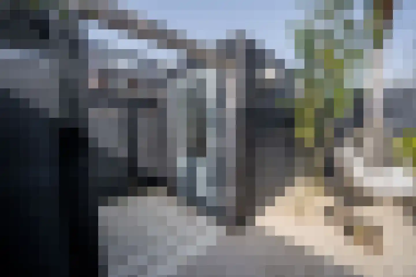 Turennesingel 226 Lent thumbnail 22