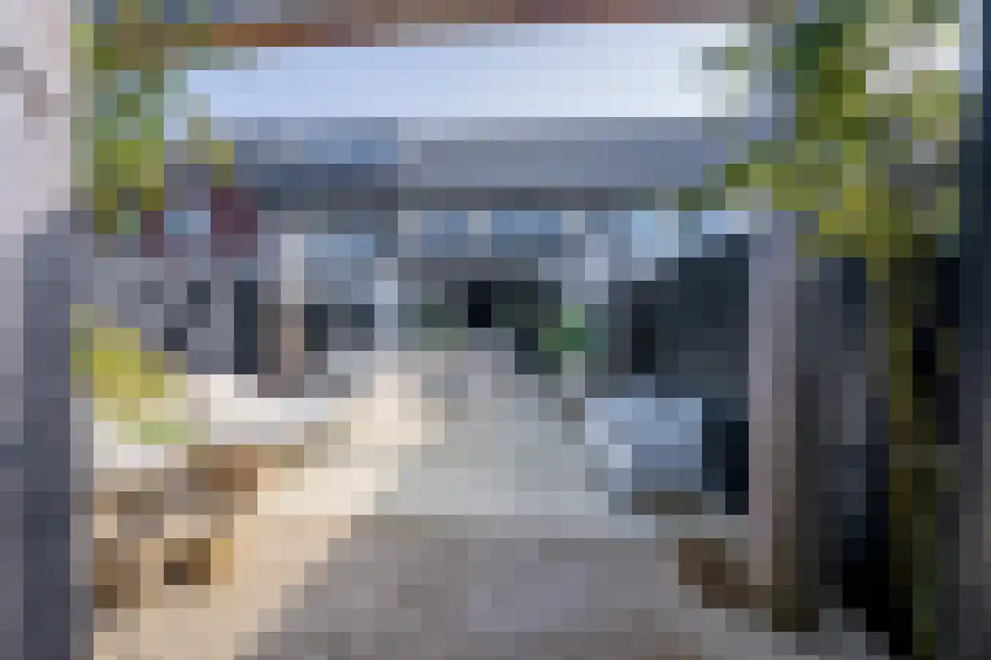 Turennesingel 226 Lent thumbnail 4