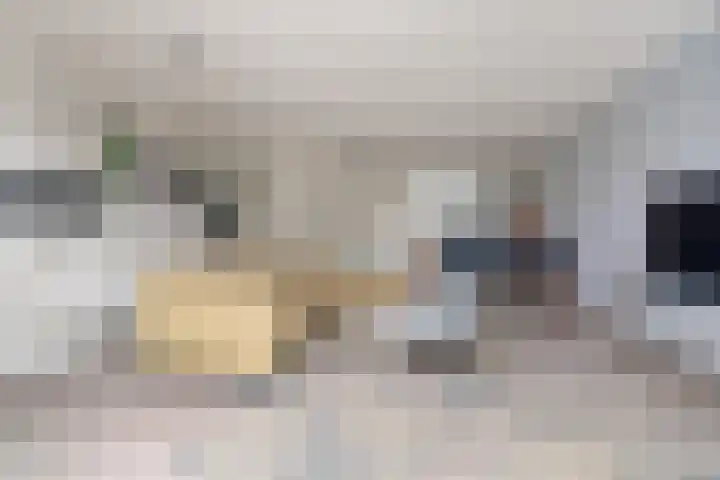 Turennesingel 236 Lent thumbnail 10
