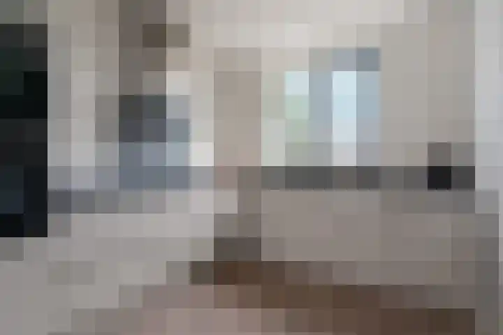 Turennesingel 236 Lent thumbnail 16