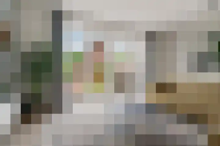Turennesingel 236 Lent thumbnail 19