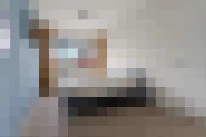 Turennesingel 236 Lent thumbnail 27
