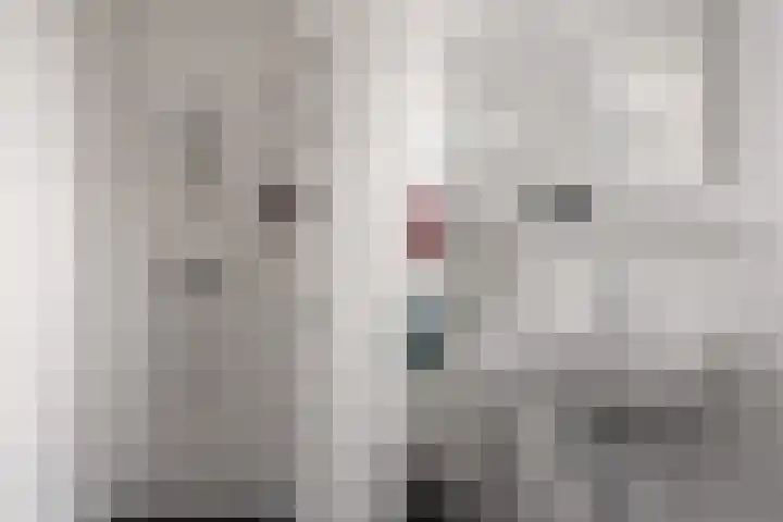 Turennesingel 236 Lent thumbnail 34