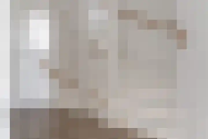 Turennesingel 236 Lent thumbnail 36